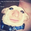 commented item thumbnail