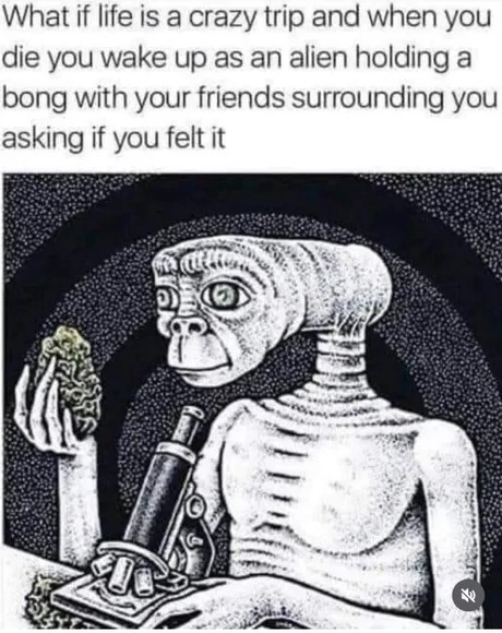 maybe... or maybe not - meme