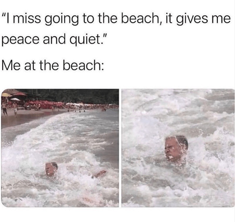 Me: I go to the beach for peace. Also me at the beach: total chaos - meme