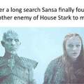Sansa ice