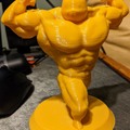 Friend 3D printed me this