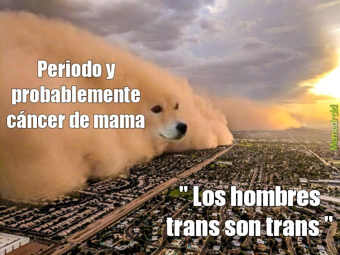 Trans es un gay evolucionado - meme