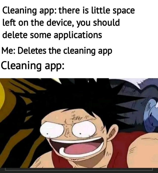 Deleting cleaning app - meme
