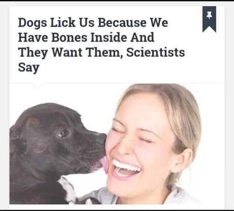 doggos want bones - meme
