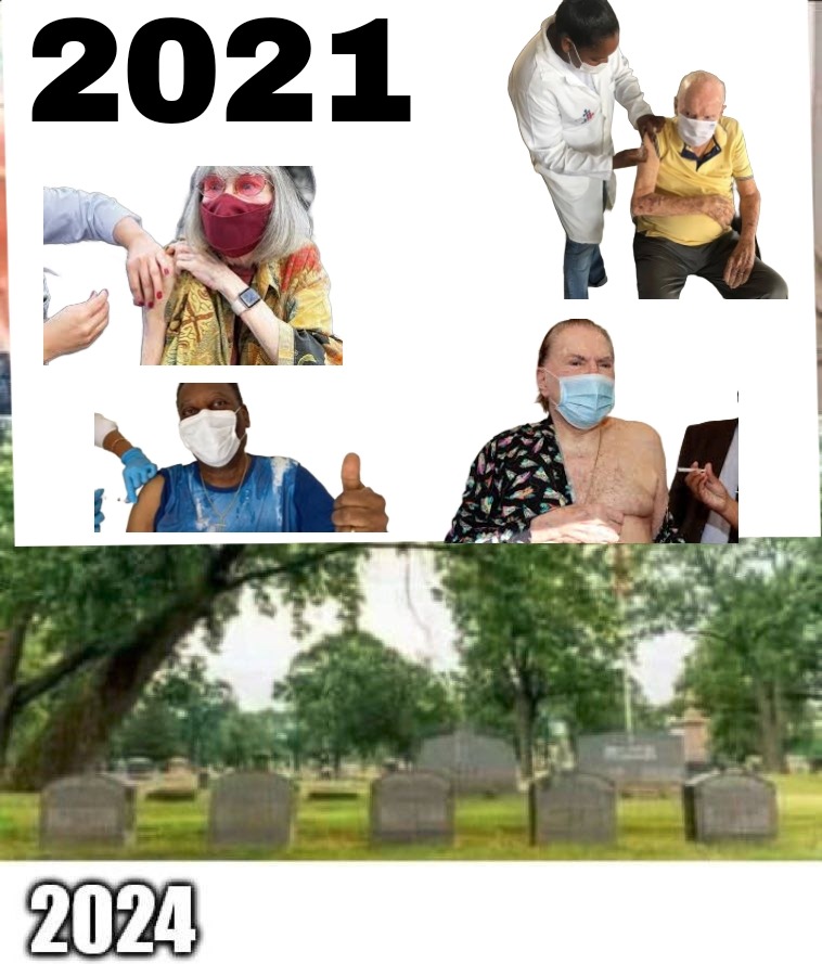 Vacina memes