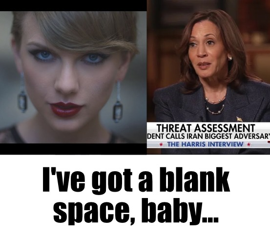 I've got a blank space, baby... - meme