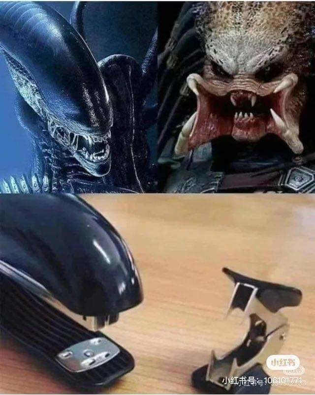 D - meme