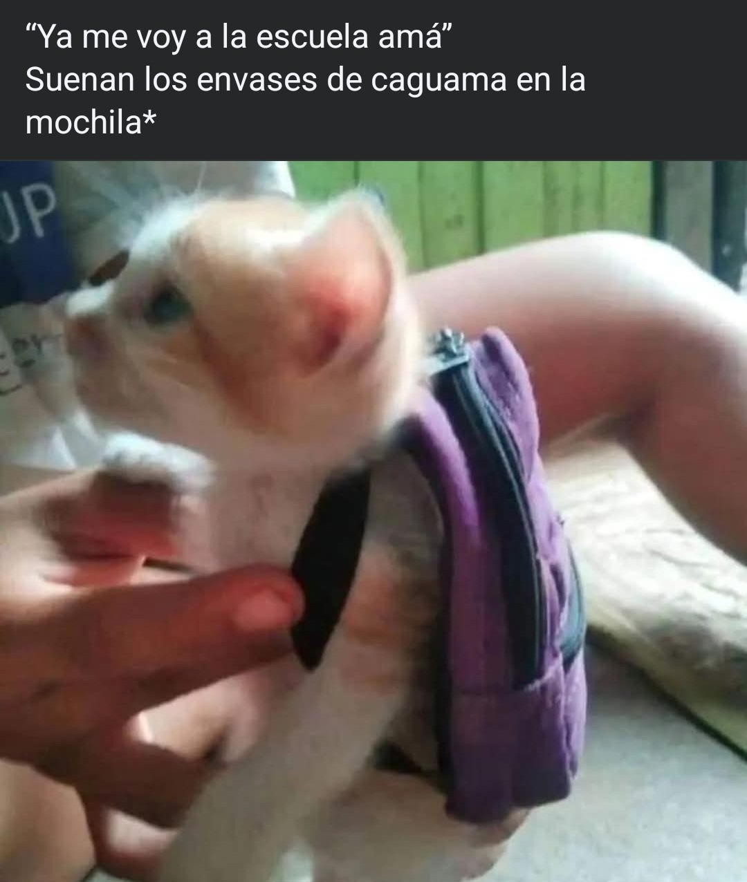 Ay gonorre@  - meme