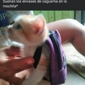 commented item thumbnail