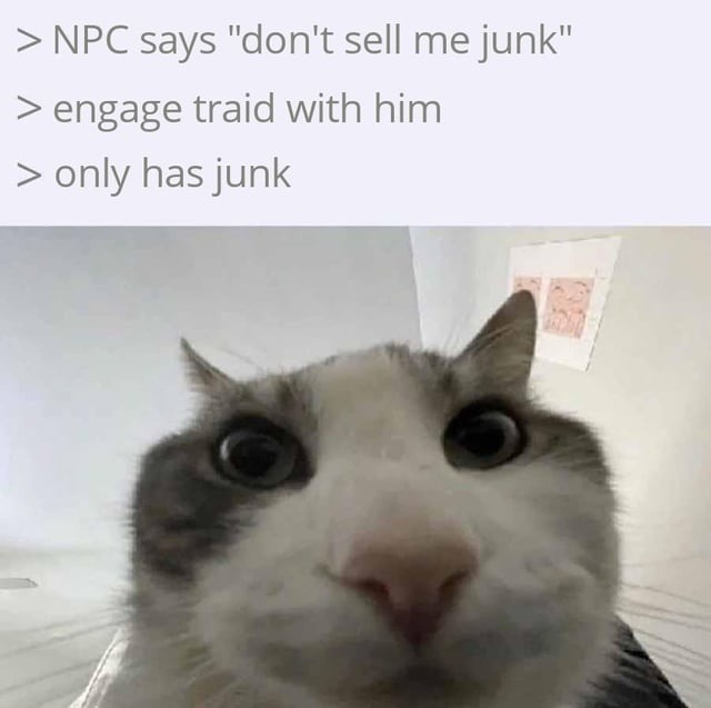 NPCs be like don't sell me junk, then pull out junk - meme