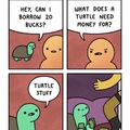dongs in a turtle