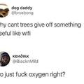 Why can't trees give off something useful