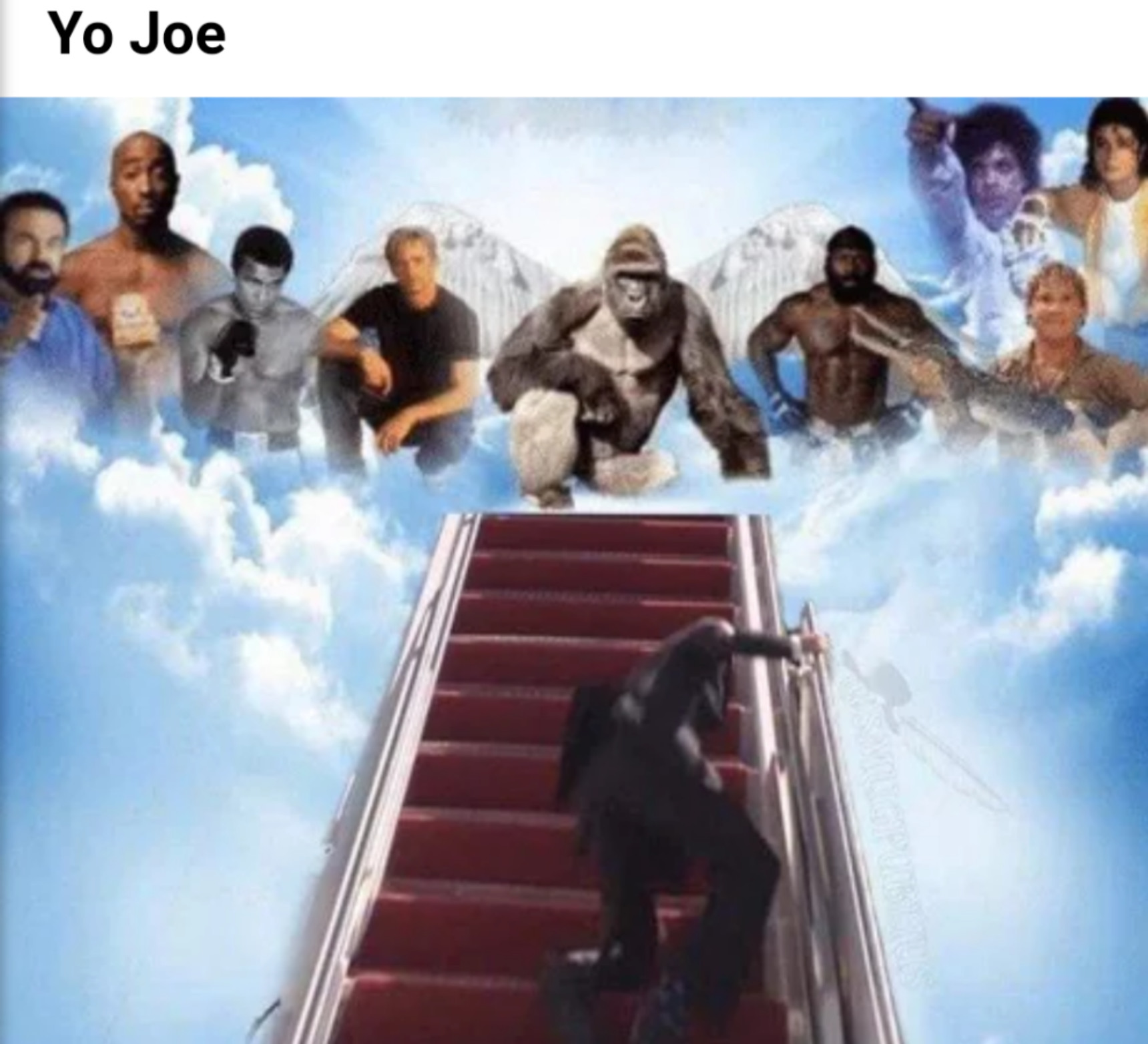 Here comes Joe - meme