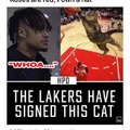The Lakers signed this cat to win the Warriors