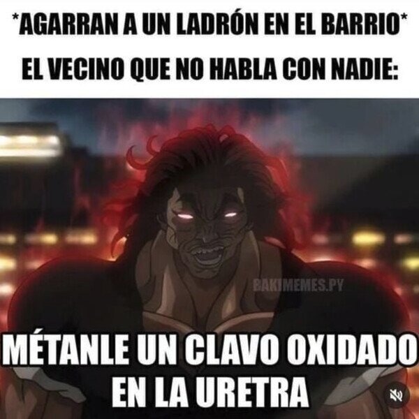 Ladrón del barrio - meme