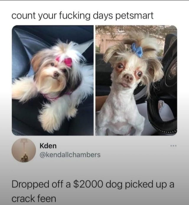 Dropped off a $2K dog, picked up a crackhead - meme