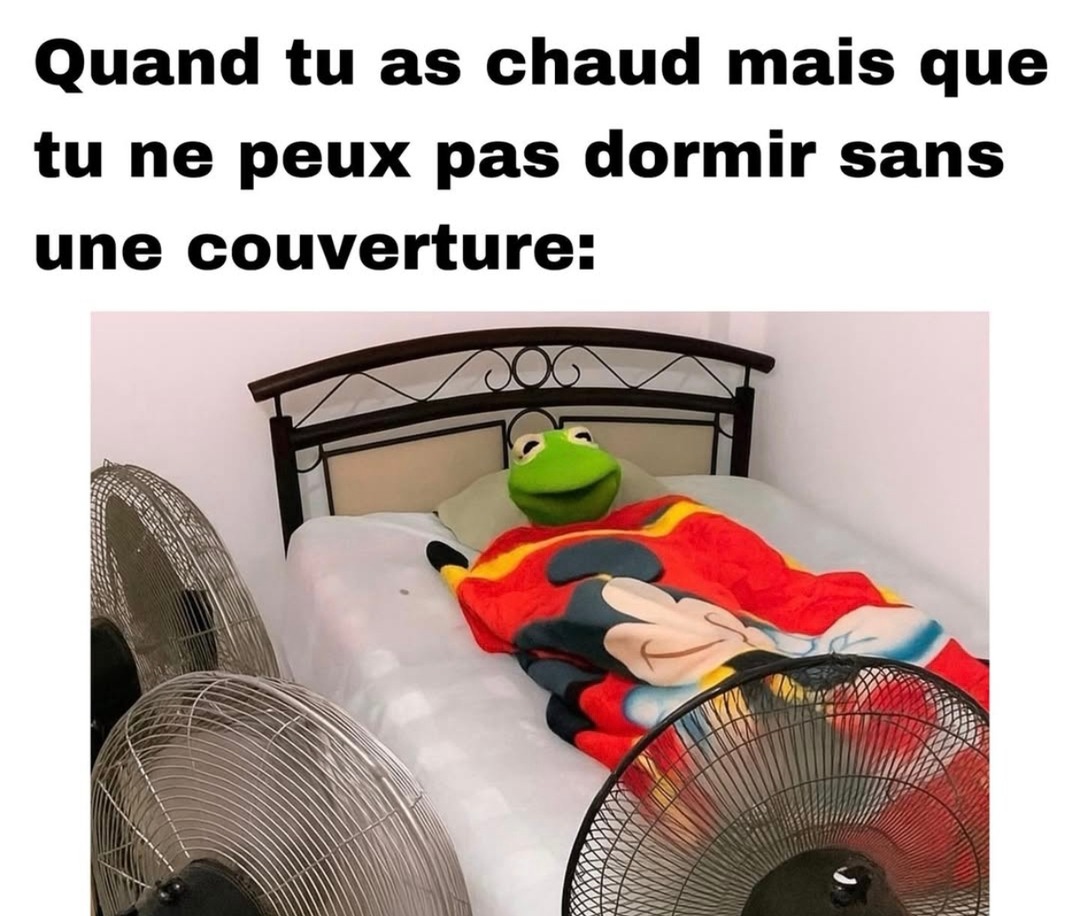 envie de fraîcheur mais obligé de dormir avec la couette - meme