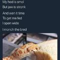 Pure bread snek