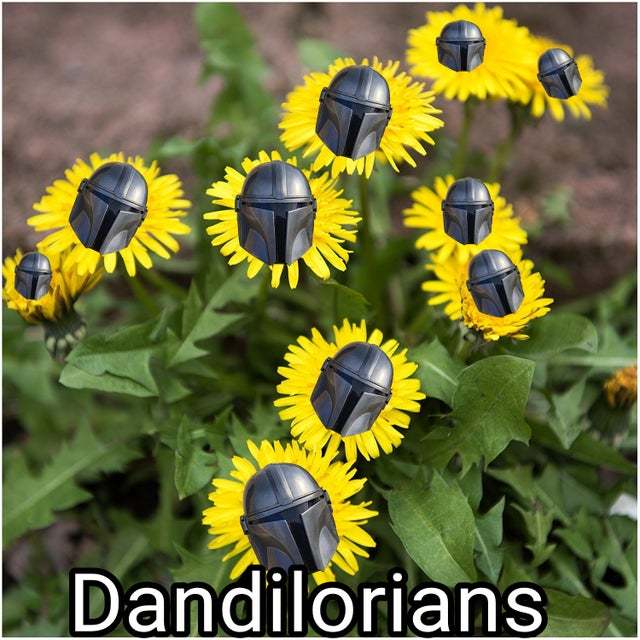 Dandilorians - meme