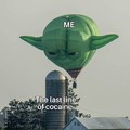 Yoda yayo