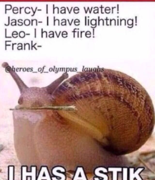 The best Percy Jackson memes :) Memedroid