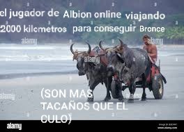 Una vez viaje por 3 reinos por uno de bronce (Es el material más barato del mercado pero no me gusta gastar) - meme