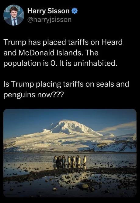 Trump vs penguins: the tariff arc - meme