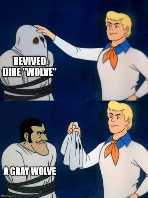 Dire wolves got DLC and came back buffed - meme