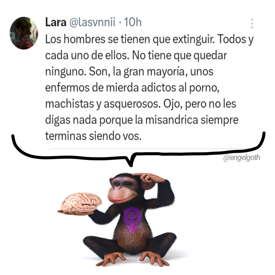 Retrasada feminista, nada nuevo - meme