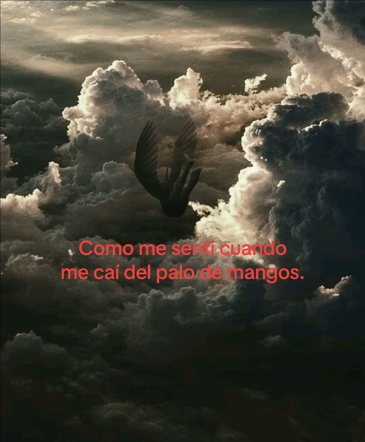 Pov: te caes del arbol de mangos - meme