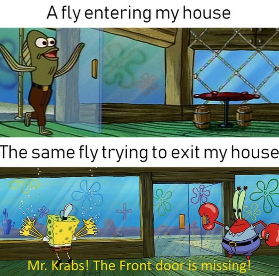 Huh - meme