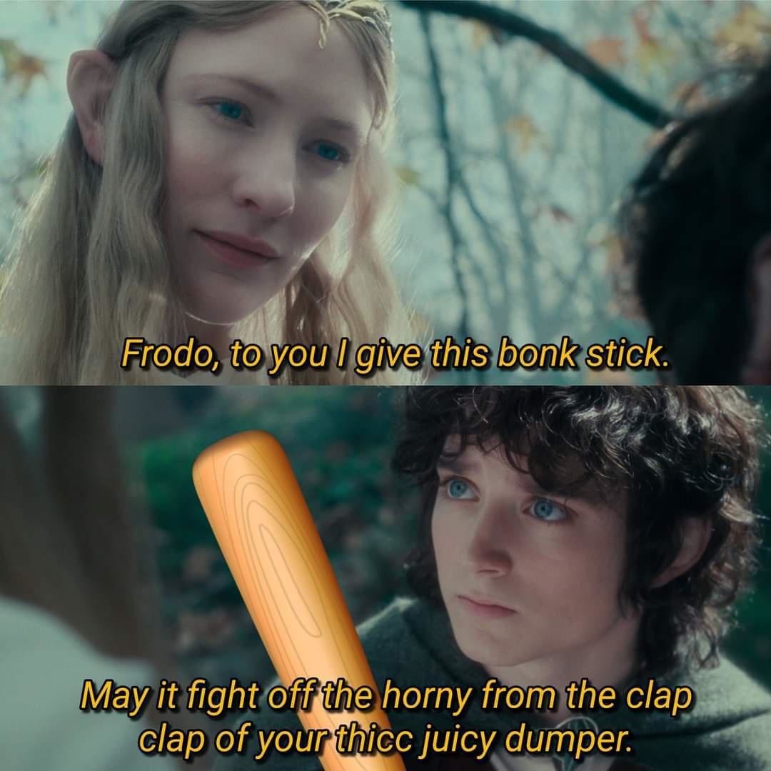 Frodo is a member of the AHP - meme