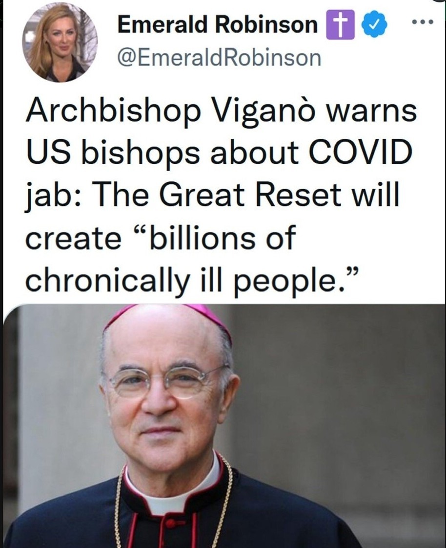 Vigano has been trying to warn us for a few years - meme