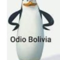 When odias bolivia