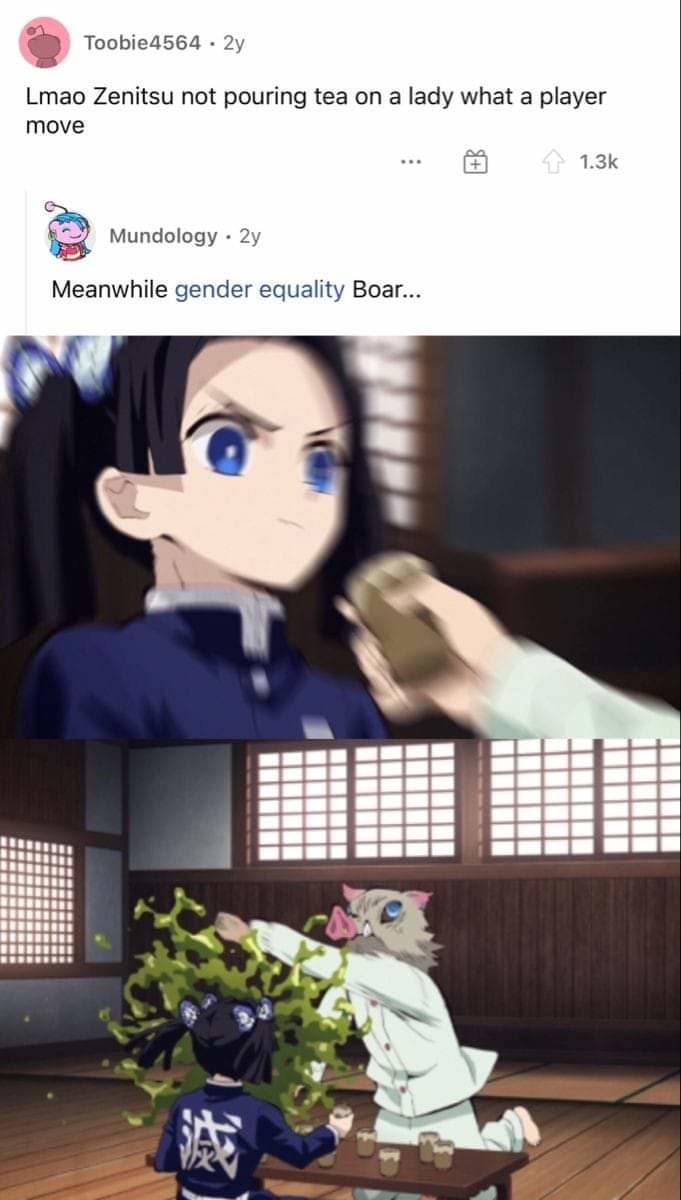 True Gender Equality - meme