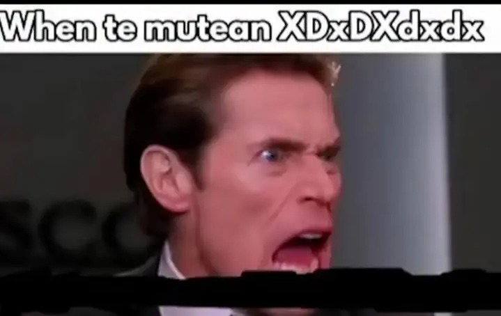 Solo publicare esta mierda para que no se muera la cuenta - meme