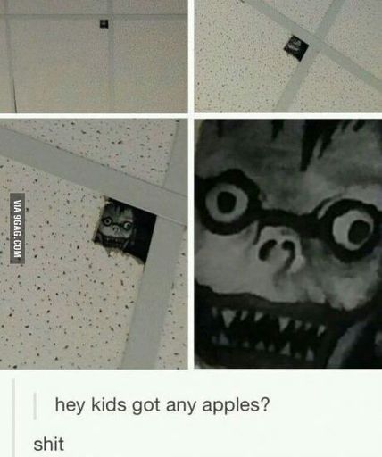Tienes manzanas? xdxdxd - meme
