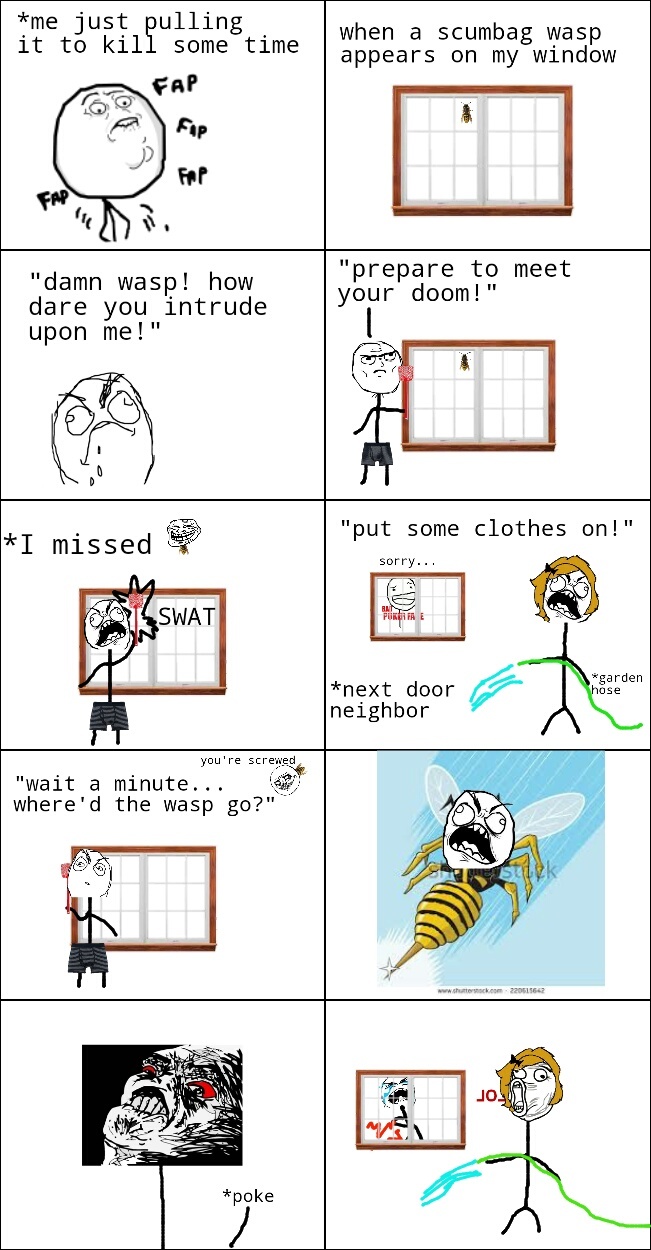 I hate wasps - meme