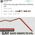 gay people are gay