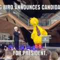 The best candidate.