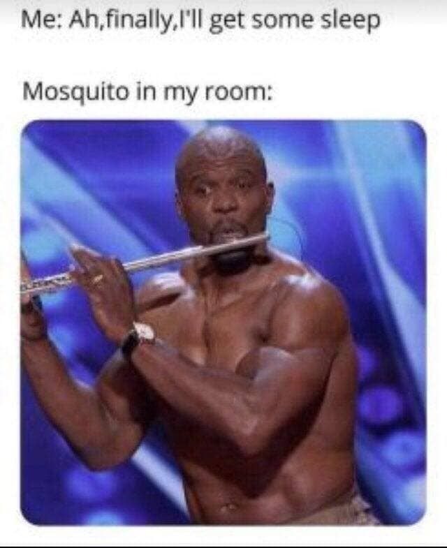 Mosquito issues - meme
