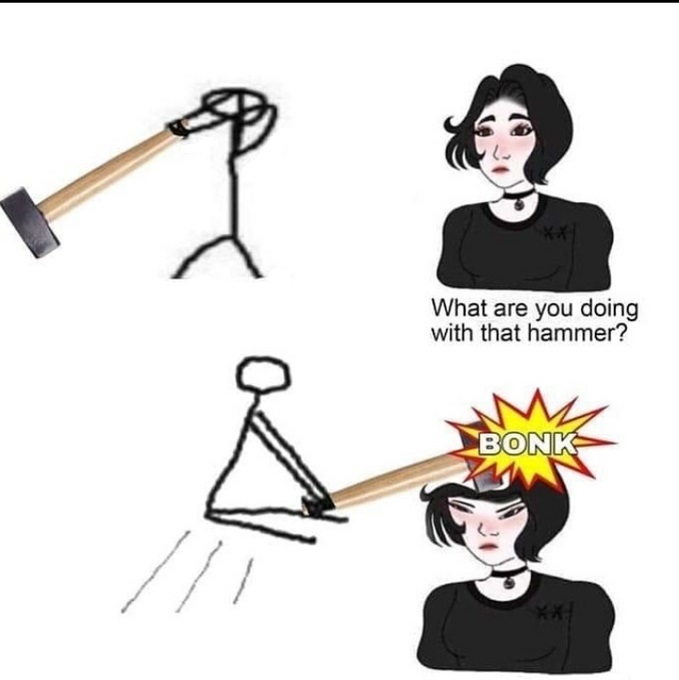 dongs in a hammer - meme