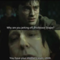 Snape loves your mother's 