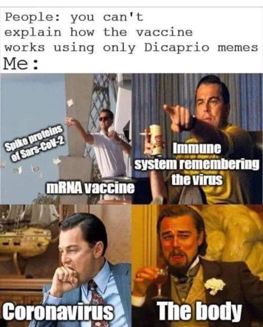 Corona Virus - meme