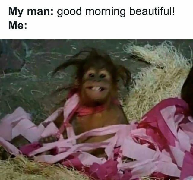 Good morning beautiful - meme