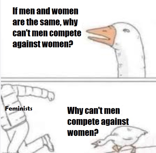 Say it, ladies. - meme