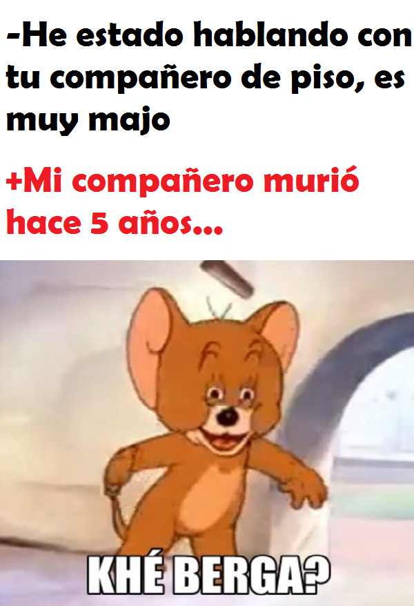 meme muy xD  Teddy, Memes, Teddy bear