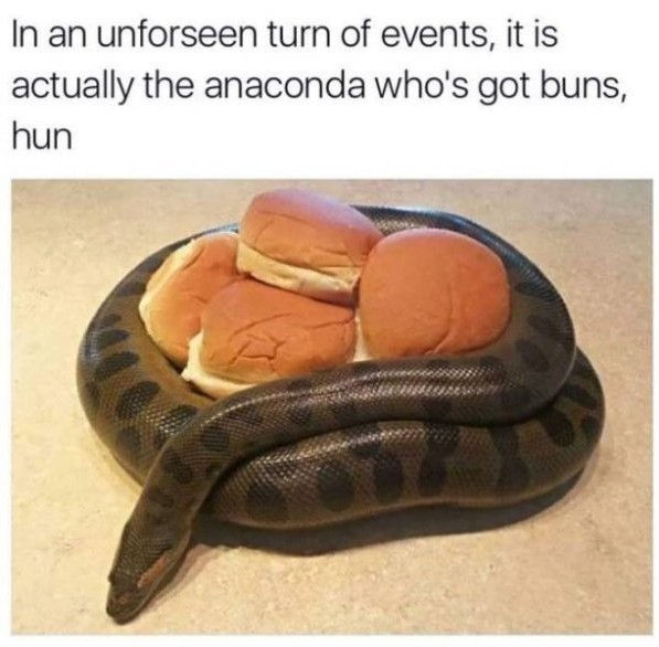 This anacondas got em - meme