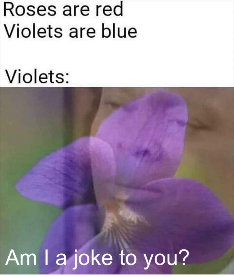 Violets - meme