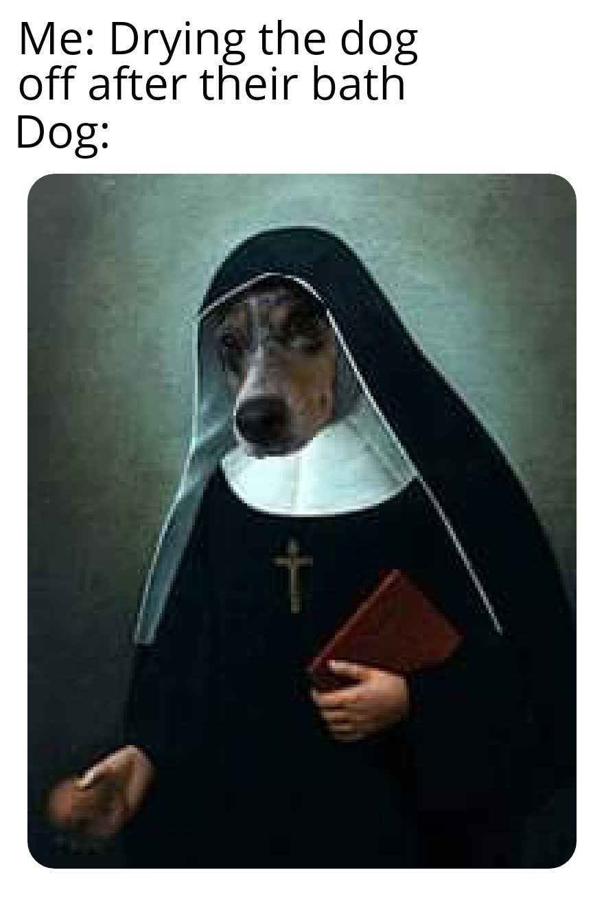 Dog nun - meme